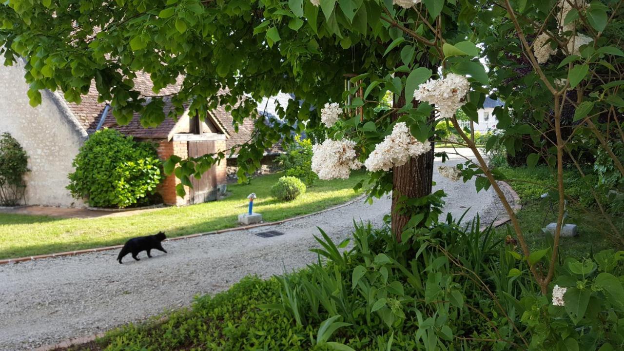 Closerie Des Laudieres Vineuil  Exterior foto